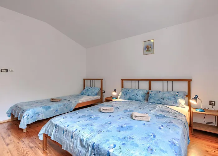 Apartman Vinka By Interhome Zminj